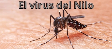 El virus del Nilo